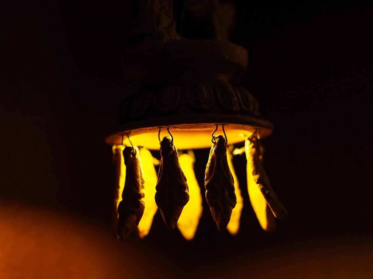 Omana Hotel Kathmandu Bagian luar foto